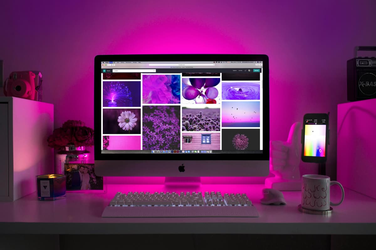 Web Design and Development